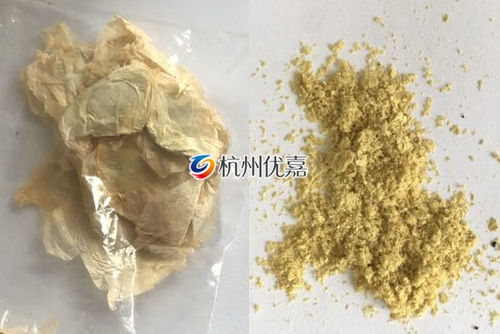 如何利用宋慈高通量多樣品組織研磨儀研磨植物組織？