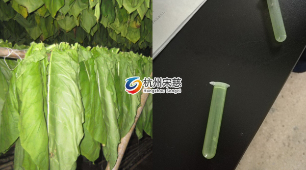 煙葉研磨對(duì)比